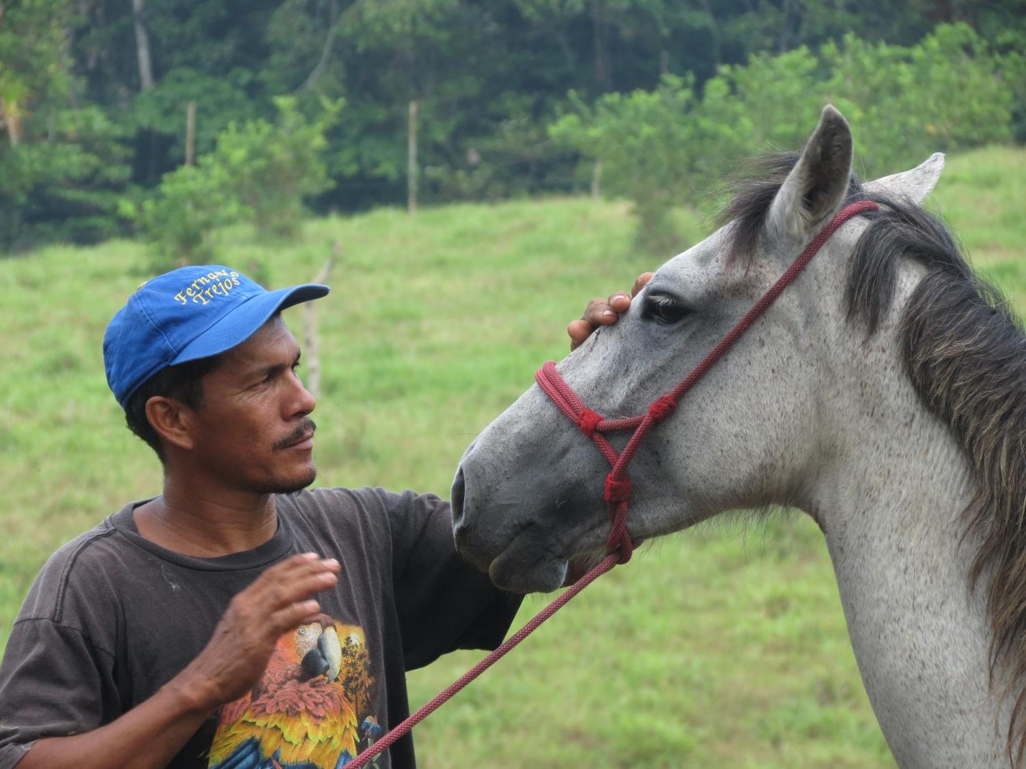 Vocare Finca Agroecologica Upala Buitenkant foto