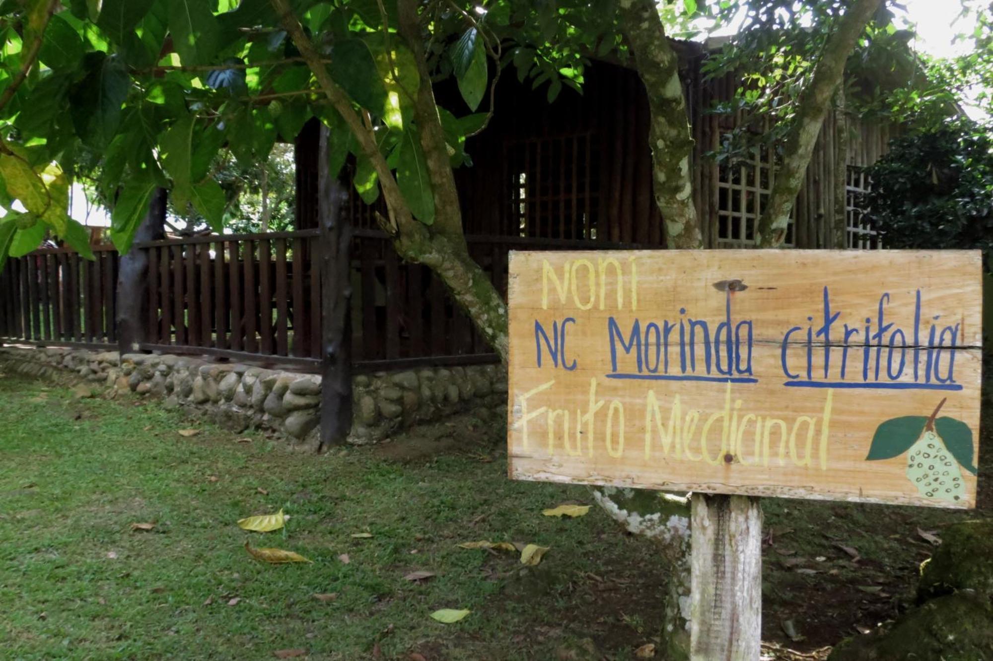 Vocare Finca Agroecologica Upala Buitenkant foto