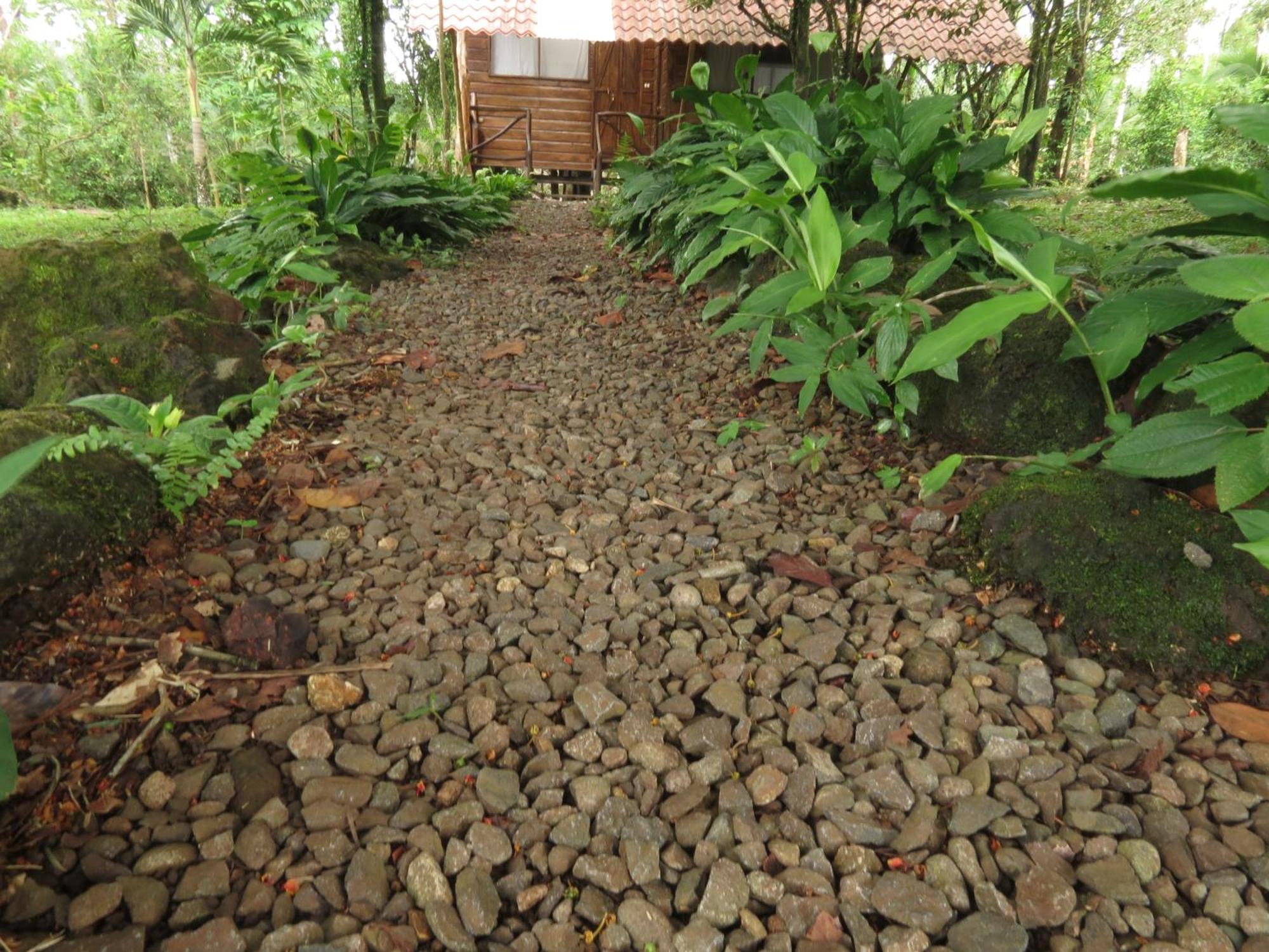 Vocare Finca Agroecologica Upala Buitenkant foto