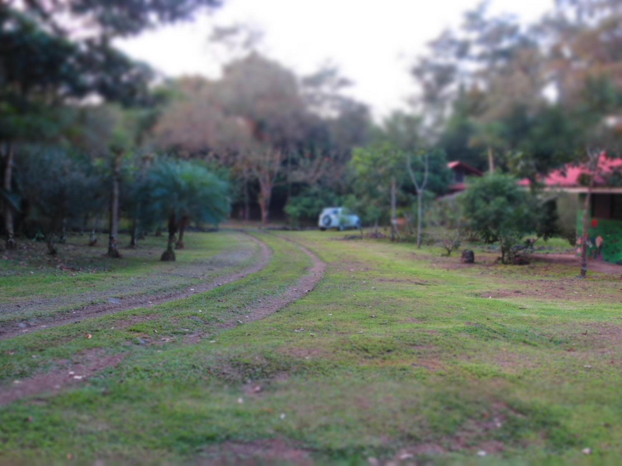 Vocare Finca Agroecologica Upala Buitenkant foto