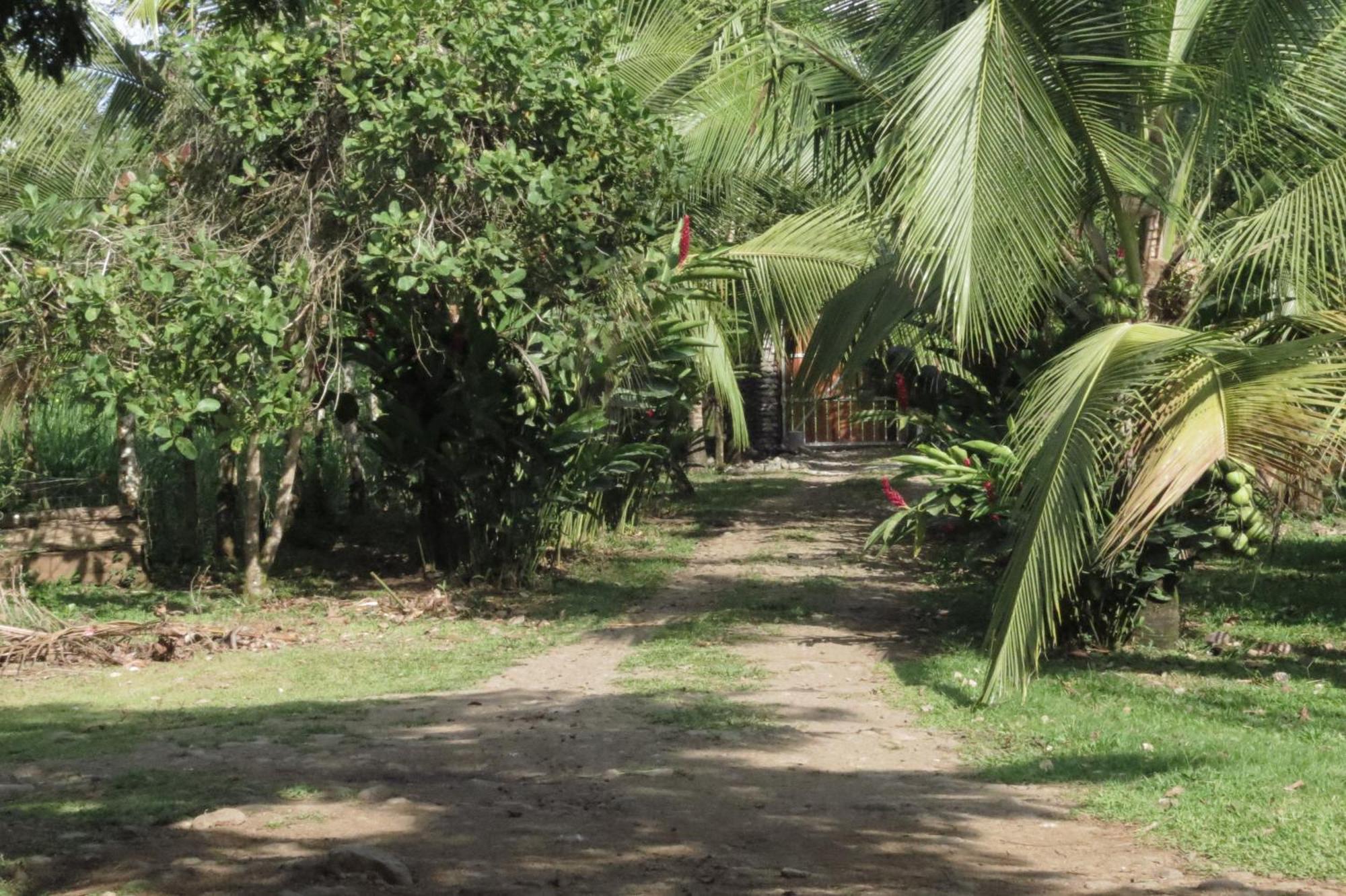 Vocare Finca Agroecologica Upala Buitenkant foto