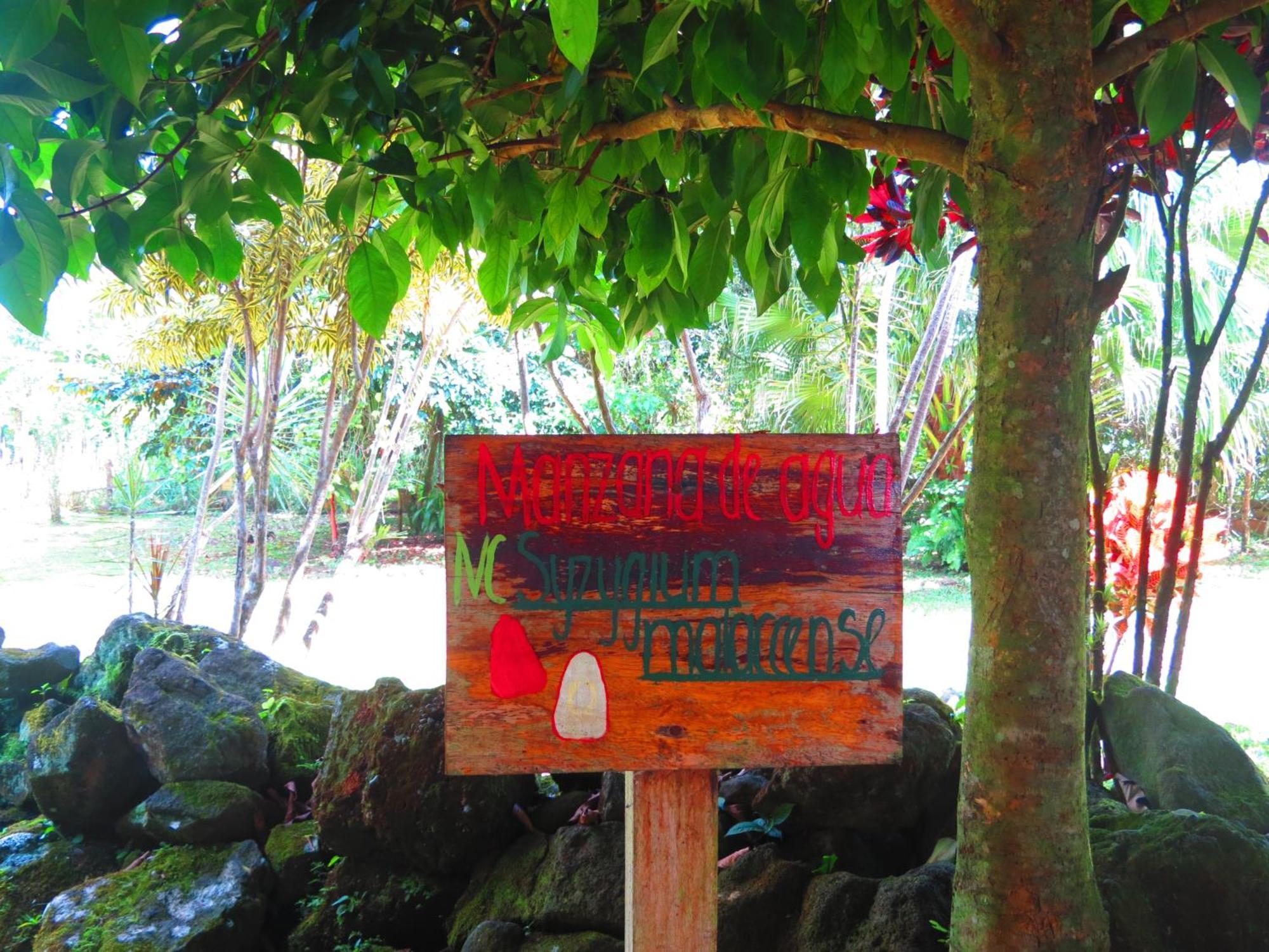 Vocare Finca Agroecologica Upala Buitenkant foto