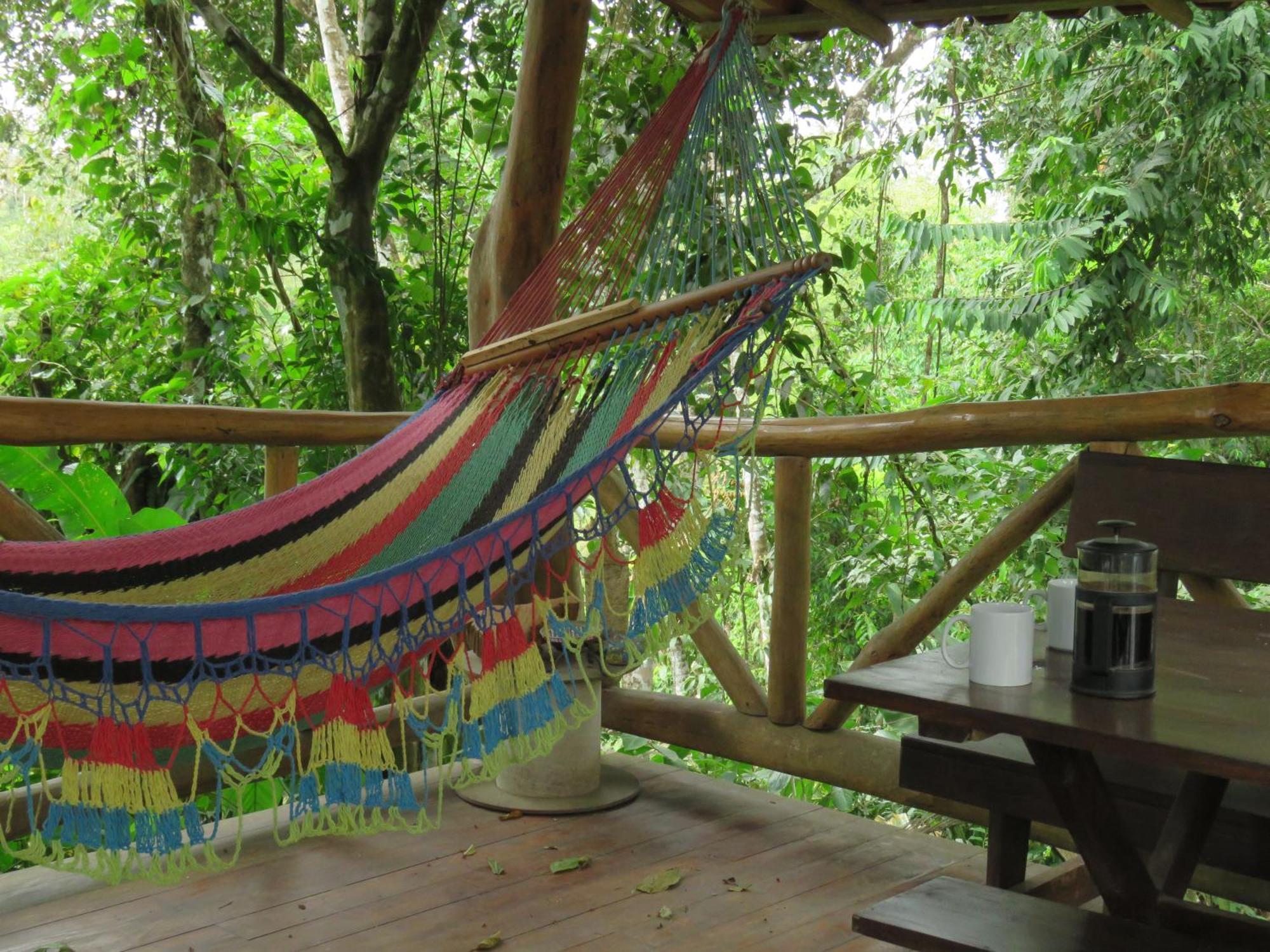 Vocare Finca Agroecologica Upala Buitenkant foto
