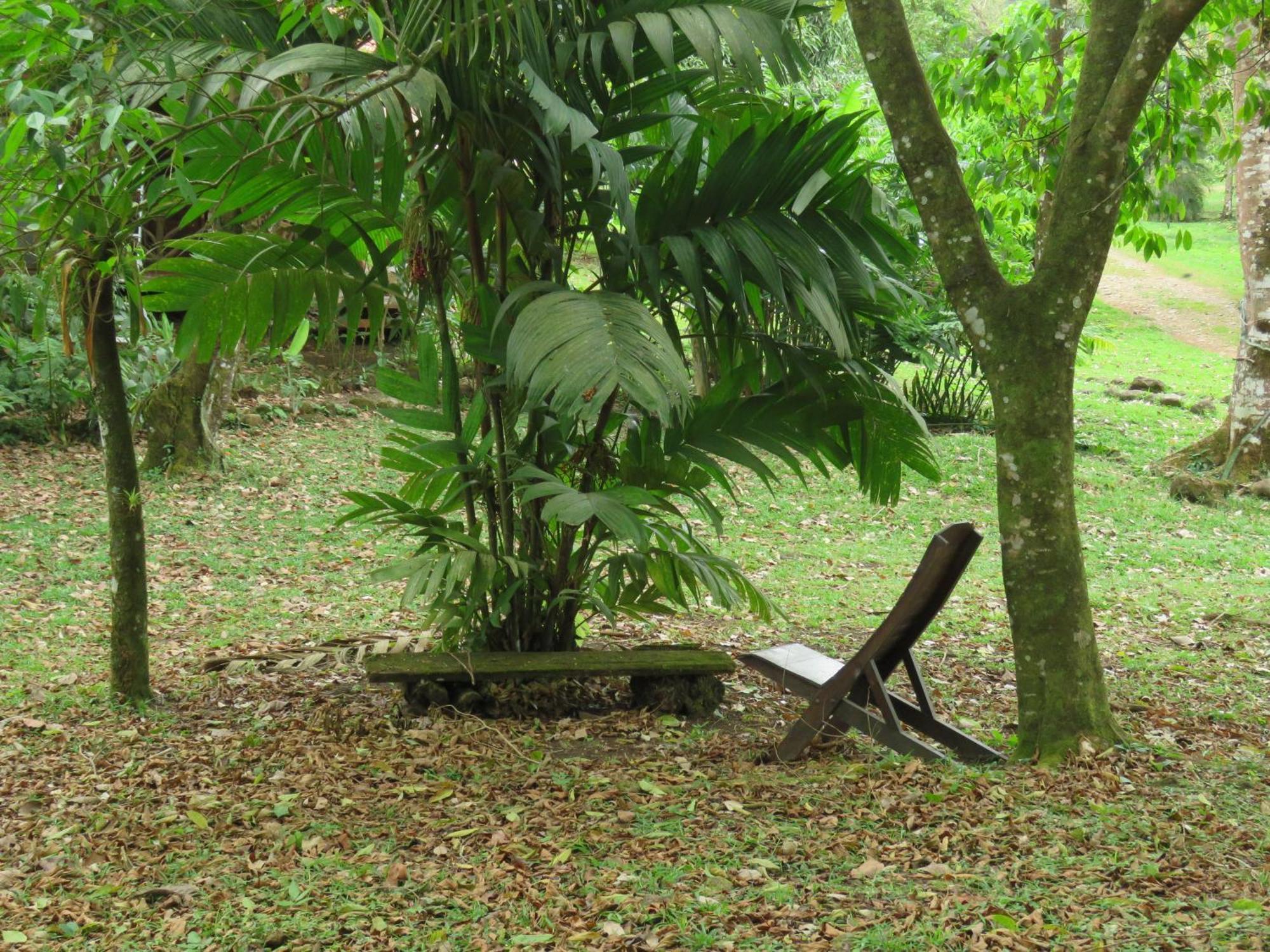 Vocare Finca Agroecologica Upala Buitenkant foto
